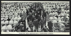 1980 -- MARCHE DES GRIVELLES A SANCOINS. 3U538 - Bild 1 von 1
