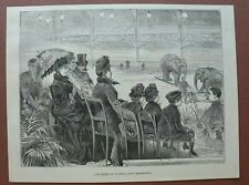 L6a) Holzstich West Kensington 1887 Queen Olympia Elefant Zirkus England 20x26
