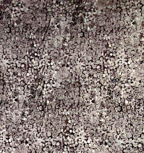 Northcott Artisan Spirit shimmer Fabric by the yard,BLACK GRAY AND SILVER,BTY - Picture 1 of 1