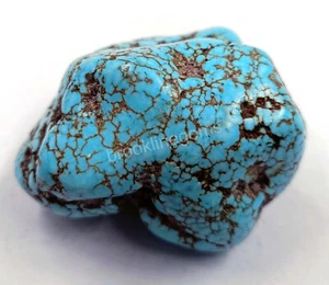 217.00 Ct Natural Blue Turquoise Tumble Uncut Rough Certified Loose Gems 25S - Picture 1 of 6