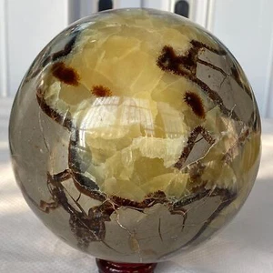 2900G Natürlicher Schildkrötenrücken Stein Drache Kristall Kugel Quarz Mineral Heilung - Bild 1 von 12