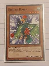 LDS2-EN099 Bird of Roses Common 1st Edition Mint YuGiOh Card