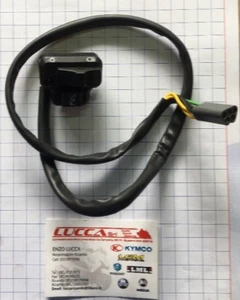 253169 Commutatore Luci Piaggio Boss Con Lampeggiatori - Foto 1 di 1