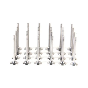 3.0TDI Intake & Exhaust Valve Kit Fit For VW Phaeton Touareg CARA CEXA CASA CATA - Picture 1 of 10