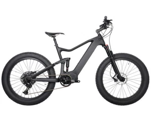 WINICE Carbon Fat Bike Electric Bicycle M620 1000W Full Suspension Ebike L - Picture 1 of 10