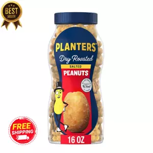 PLANTERS Salted Dry Roasted Peanuts, 16oz Jar – Party Snack & Protein - Picture 1 of 6
