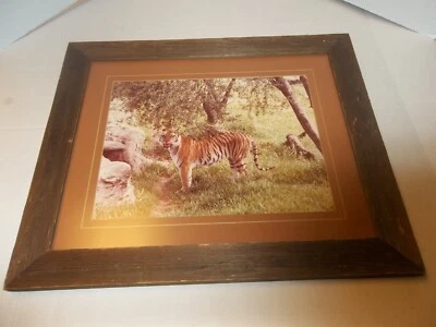 Raw Wood Framed Tiger Picture Wall Hanging 21 x 18" - Image 1 of 4