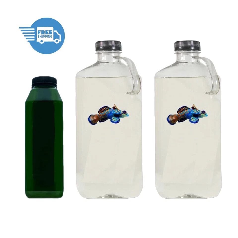 COPEPODS FOR SALE Ultimate Pod Starter Pack - 64oz 5 Species Copepods -16oz Phyto!- Fast Free Ship