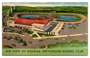 CUBA - AIR VIEW HAVANA GREYHOUND KENNEL CLUB DOG RACING TRACK - LINEN POSTCARD - Picture 1 of 2