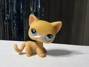 Littlest Pet Shop #71 Orange Shorthair Cat Authentic Kitty Figure LPS Blue Eyes - Picture 1 of 7