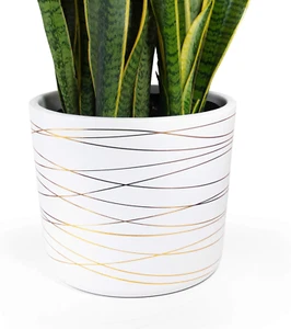 12 Inch Ceramic Pot - Matte White with Metallic Gold Stripes - Drainage Plug Inc - Picture 1 of 12