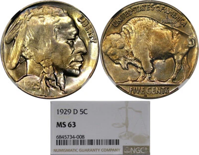 1929-D 5C NGC MS63 BUFFALO ~ PROOFLIKE OBV & ORIGINAL COLOR! - Image 1 of 4