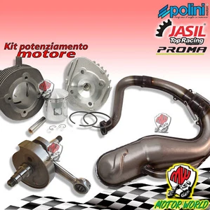Set Motor Cilindro POLINI ø55 Árbol Jasil Silenciador Proma Vespa Ape Special - Imagen 1 de 1