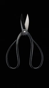 Masakuni Japanese Bonsai Wire Cutter Pruning Shears Black Polished / No.101 昌國 - Picture 1 of 10