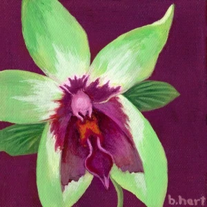 Impresión de flor de orquídea de lima con fondo carmesí-obra de arte de flores-giclee floral - Imagen 1 de 4