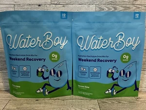 Lot Of 2 - Waterboy Hydration + Weekend Recovery - Lemon Lime - 12 Count - 12/25 - Picture 1 of 4