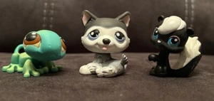 Littlest Pet Shop LPS Stinktier, Gecko/Eidechse und Husky Hund - Bild 1 von 1