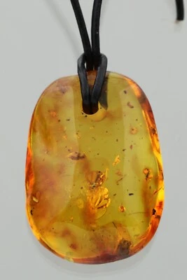 10 Fossil INSECTS 正品波罗的海琥珀可调节皮革吊坠 10.4 克 231005-8 — 第 1/4 张图片