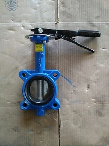 3"Butterfly Valve Lug with align holes Stainless Disc Viton Seat with handle - Picture 1 of 4