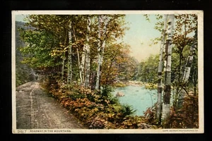 Scenic State View postcard Detroit Pub. Co c1900 #9817 Roadway Mountains   - Picture 1 of 2