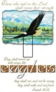 Isaiah 40:31 - Eagles SwitchStix Single Toggle - Bild 1 von 1