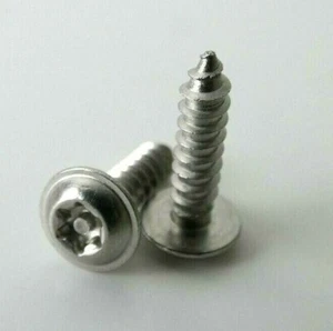 100 x M 3,9 Schraube, Blechknopfkopf Flansch M3,9 x 16mm T20 Security - Bild 1 von 2