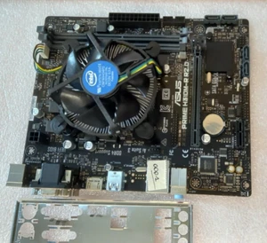 scheda madre Asus Prime H310M-R R2.0/Pentium Gold G540-3.80Ghz/DDR4 no presente - Imagen 1 de 9