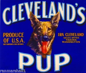 Yakima Cleveland's Pup German Shepherd Dog Apple Fruit Crate Label Print - Picture 1 of 1