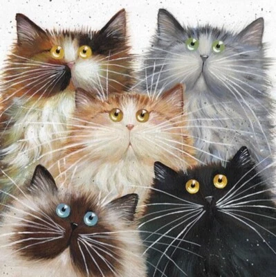 TOMCAT CARDS Fluffy Five ~ Greeting Card By Kim Haskins-Blank Card-Funny Cats