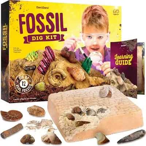 Real Fossil Dig Kit for Kids – Mega Science Kit for Ages 8-12 – STEM Gift - Picture 1 of 13