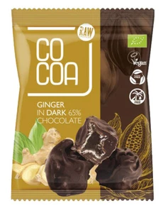 KANDIERTER INGWER IN DUNKLER SCHOKOLADE 65 % BIO 70 g - KAKAO - Bild 1 von 1