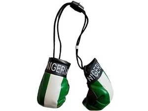 Nigeria Boxing Glove Nigerian Flag Mini Banna Boxing Gloves Rear View Mirror - Picture 1 of 2