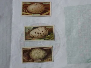 OGDEN'S BIRD'S EGGS, #7, #23, #30 CIGARETTE CARDS - Picture 1 of 2