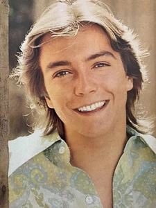 David Cassidy, Full Page Vintage Pinup, aa - Picture 1 of 1
