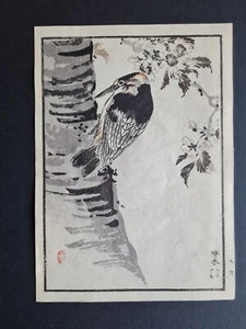 Antiker japanischer Holzschnitt von 1881 - Specht & Blüte - Kono Bairei - Bild 1 von 3