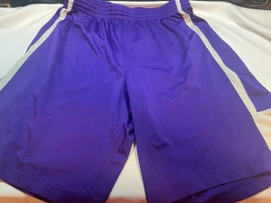 Nike Dri-Fit Uomo Activewear Basket Pantaloncini Sportivi XL Viola - Foto 1 di 4