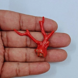 Piedra preciosa coral rojo italiano natural pulido rama áspera de colección - Imagen 1 de 7
