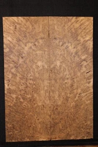 Geräucherte schottische Eiche Wurzelholz Buch passende Gitarrenplatte.  Persönliches Versteckstück. - Bild 1 von 10