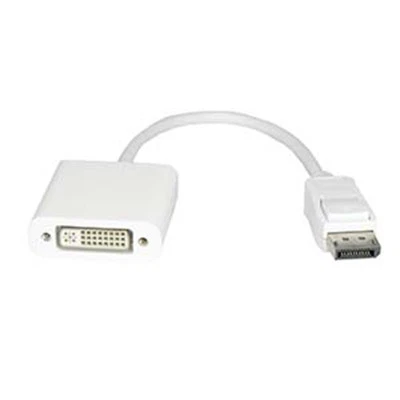Display Port Male to DVI Female Adapter - Image 1 of 2