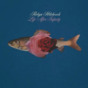 Robyn Hitchcock - Life After Infinity / Cassette Album - Picture 1 of 1