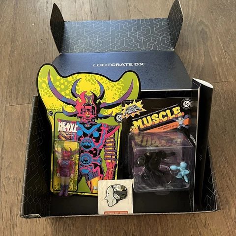 Heavy Metal Lord of Light, Mega Man MUSCLE Figures, Pin - Loot Crate Exclusives Cover