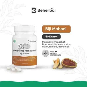 Mahogany Seeds Caps Natural Organic Herbs Spices Fresh Pure Hygienic Premium - Picture 1 of 11