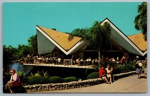 Postcard Tampa Florida c1968 Hospitality House At Beautiful Busch Gardens Unused - Imagen 1 de 2