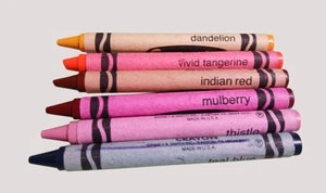 Vintage Crayola Buntstifte Binney Smith Pusteblume indische rote Distel nicht mehr produziert USA - Bild 1 von 6