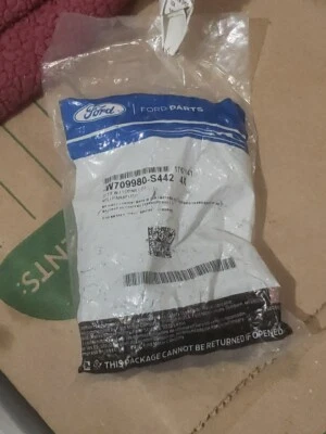 原始设备制造商福特 Transit-150 前保险杠烧烤架安装板螺丝 W709980-S442 NOS X4 PC — 第 1/2 张图片