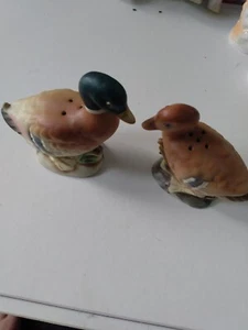 Agitadores de sal y pimienta vintage Mallard Ducks machos y hembras realistas - Imagen 1 de 5