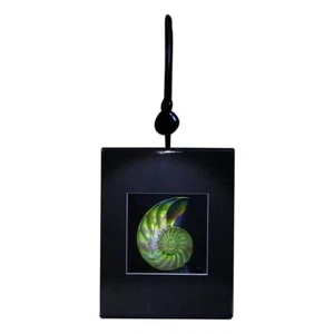 3D Nautilus Shell (Achromate) Hologram Picture LIGHTED DESK STAND, EMBOSSED Type - Picture 1 of 7