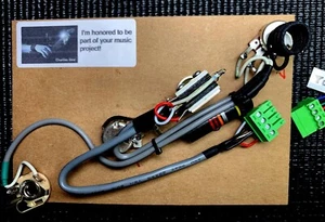 Epi Slash "AFD" Les Paul Special 2 Solderless Custom Wiring Upgrade + Bumblebee - Picture 1 of 6
