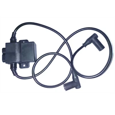 CDI Ignition Coil 4010696 4010526 4010124-66 For Polaris Sportsman 700 2002-04 - Image 1 of 4