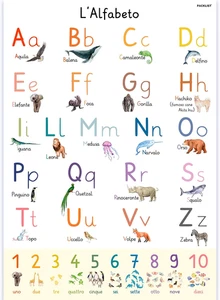 Poster Dell'Alfabeto Italiano per Bambini - Poster Dell'Alfabeto Con Lettere Gra - Foto 1 di 12